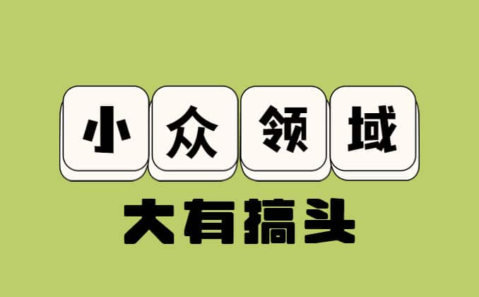 小众领域创业项目，大有搞头