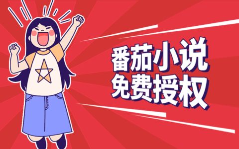小说推广小程序：番茄小说推广怎么申请授权