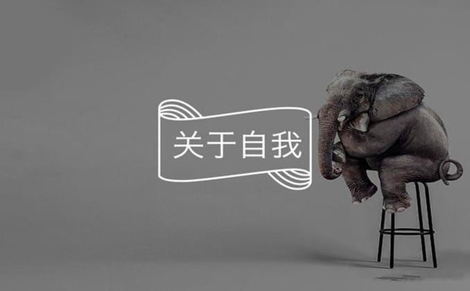 承认自身不足也是一种能力，赚钱更是如此