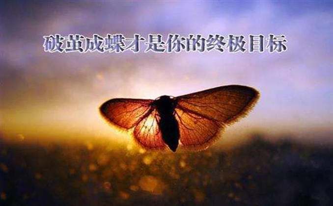 只有偏执狂才能成功？揭秘成功者背后的秘密