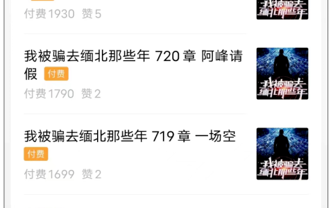 公众号付费阅读，每日收入1000+