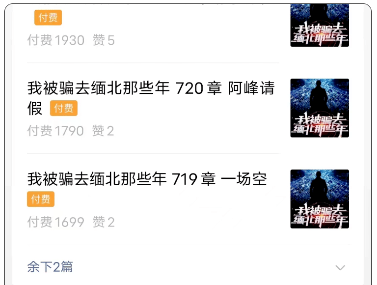 公众号付费阅读，每日收入1000+