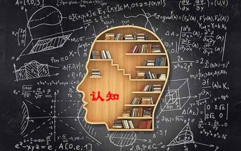 自媒体新手指南：敢于付出成本的普通人