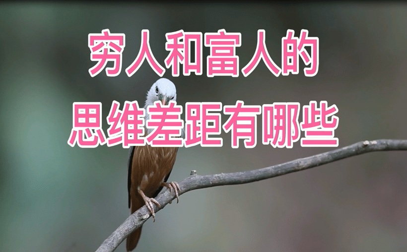 穷的真相：对贫穷的深度解析和战胜之道