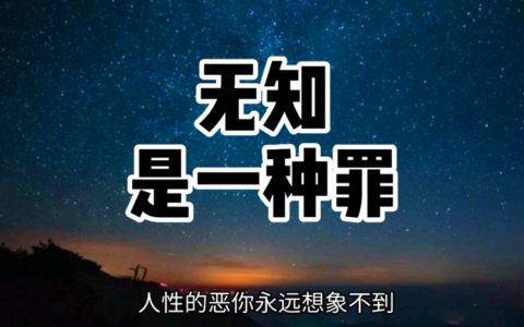 揭秘网络赚钱：普通人如何通过自媒体提升认知