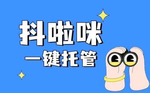 抖啦咪数据助手：一键托管，日赚50+