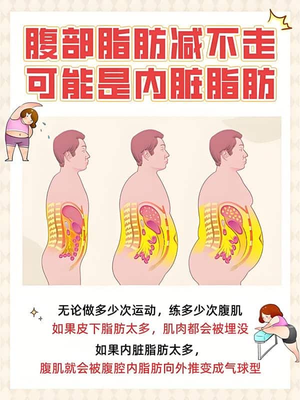 什么东西刮脂肪最厉害？瘦身必备