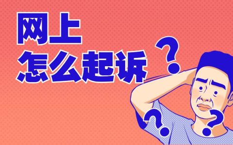 网上如何起诉欠债人：完整指南与法律建议