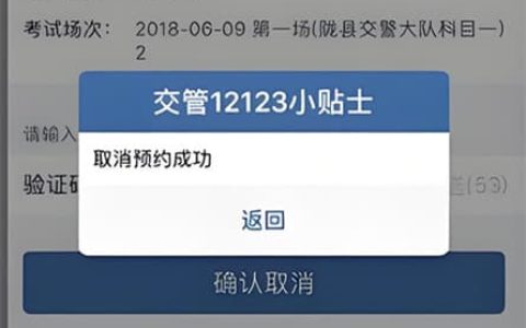 12123可以取消吗？一站式指南