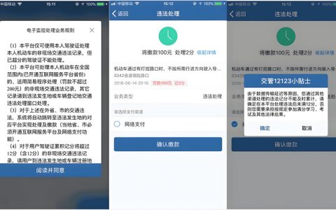 12123能代缴他人的罚款吗，这个你得看看