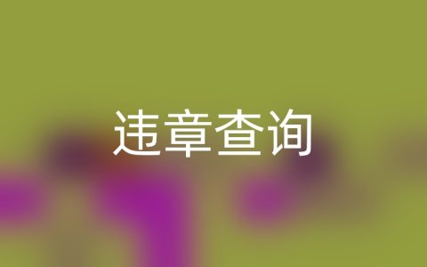 违章了多长时间能查出来？一键解锁查询秘籍