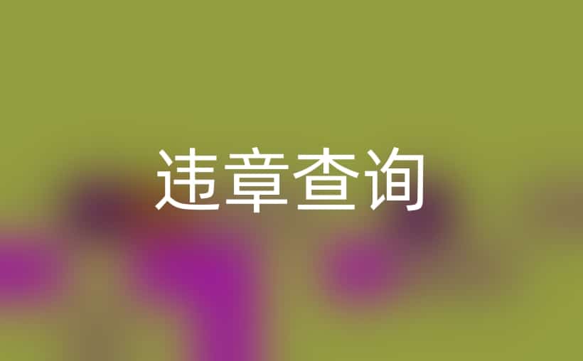 违章了多长时间能查出来？一键解锁查询秘籍