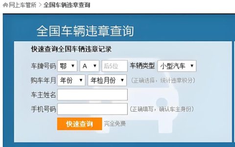 全国违章查询入口，查询指南收好！