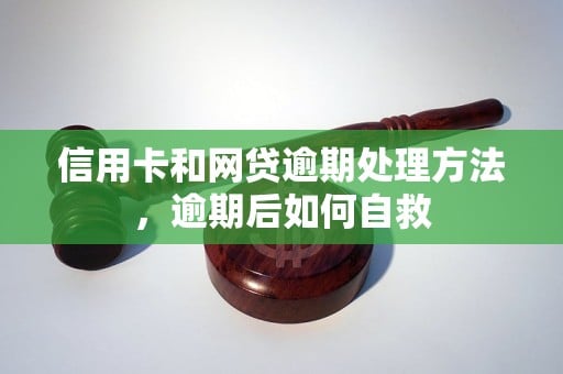 网贷欠20万自救方法？实用自救指南