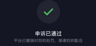 抖音怎么申诉才能成功？详细步骤全解析