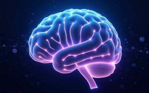探究ai什么意思，解答什么叫ai是什么意思？